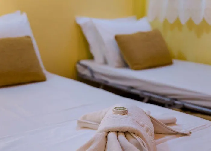 米利别墅旅馆 *