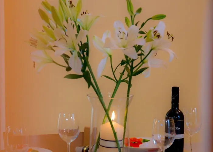 米利别墅旅馆 度假居 *