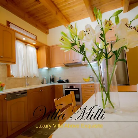 Milli Vakantiehuis Chania (Crete)