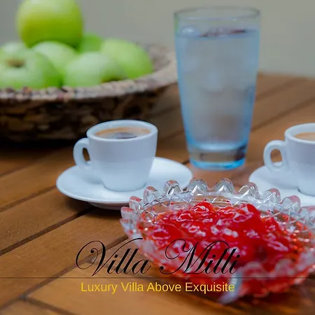 Σπίτι διακοπών Milli